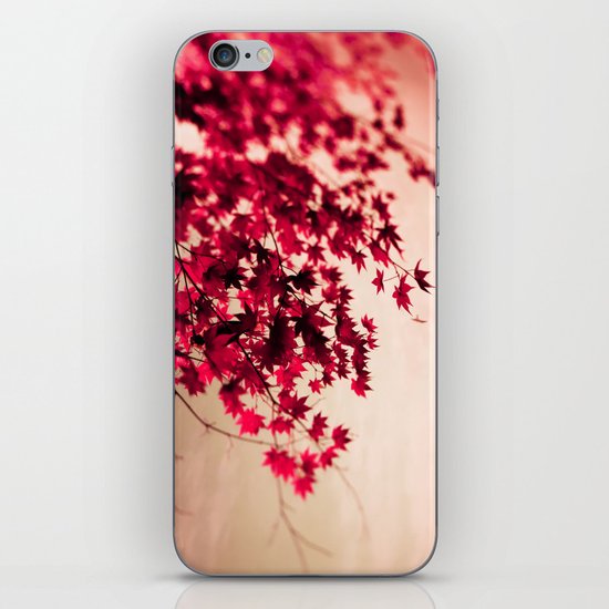 Fall Leaves iPhone Skin