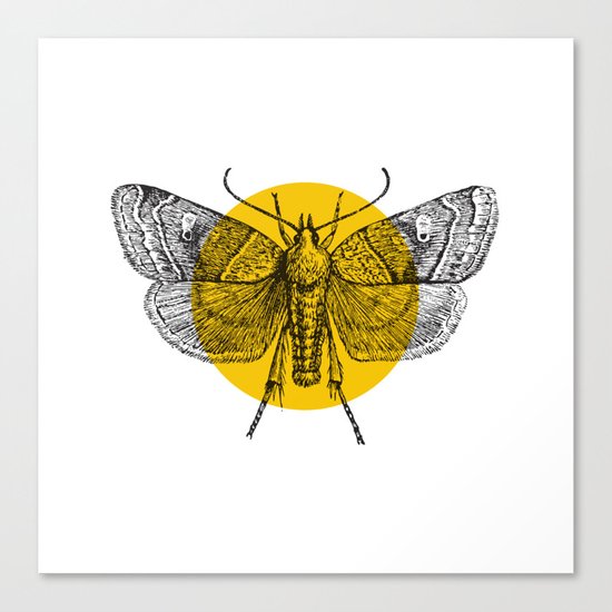 Oldie-V Canvas Print