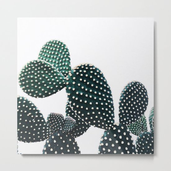 Cactus 2 Metal Print