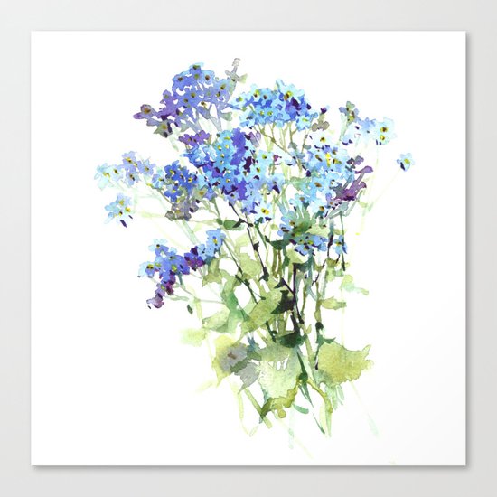 Forget-me-not watercolor aquarelle flowers Canvas Print