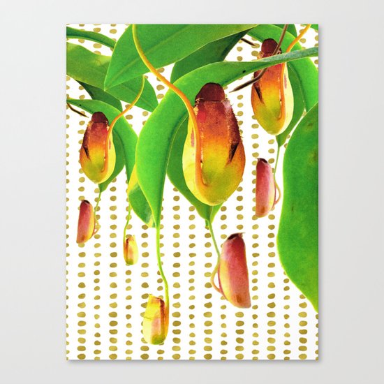 Carnivorous Plants Canvas Print