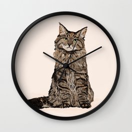 Maine Coon sitting cat portrait cute cat lady gift idea for cat owner cat lover animal pet friendly  Wall Clock