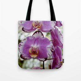 Purple Moth Orchid Tote Bag