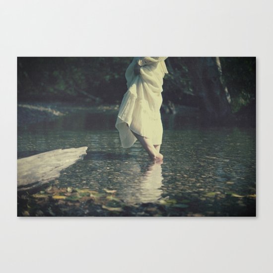 water walk Canvas Print
