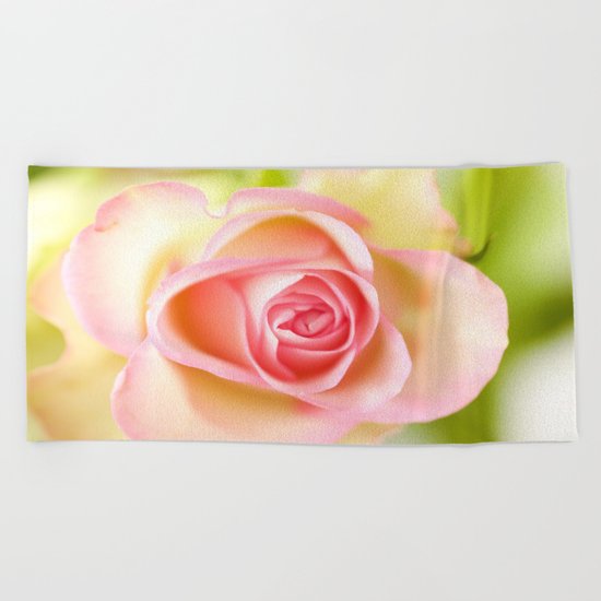 Lovely delicate pink rose Beach Towel