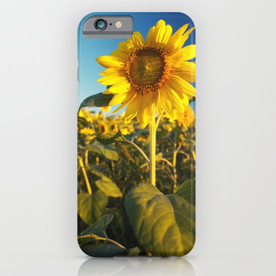 Sunflower iPhone & iPod Case