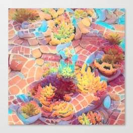  Succulent Garden Canvas Print