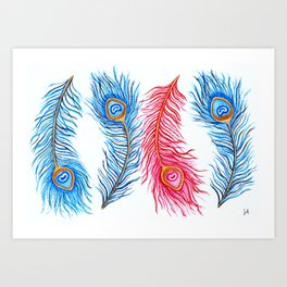 Peacock feathers Art Print