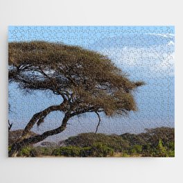 South Africa Photography - Dry Acacia Tree In The Savannah Jigsaw Puzzle