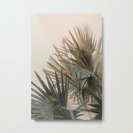 Palm Glow Metal Print | Color, Digital, Palmtreephoto, Photo, Palmtree, Tropicalprint, Palmtreeprint, Floridaart, Bohoart, Tropicalphoto 