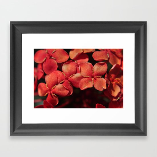 shiny flowers Framed Art Print