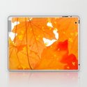 Fall Orange Maple Leaves On A White Background Decor