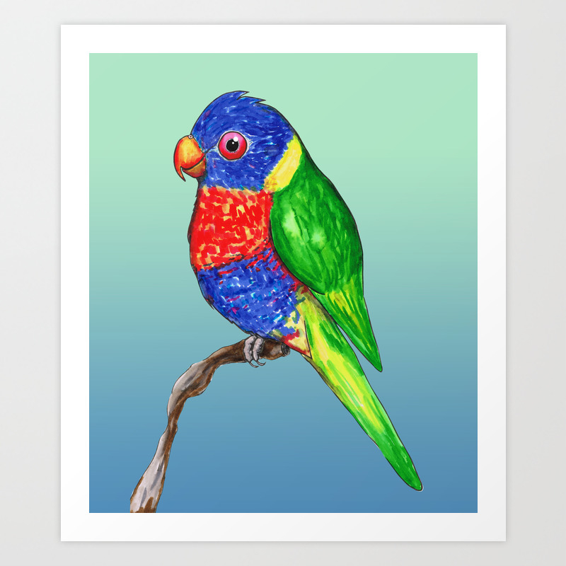 Lorikeet wildbird sling hotsell