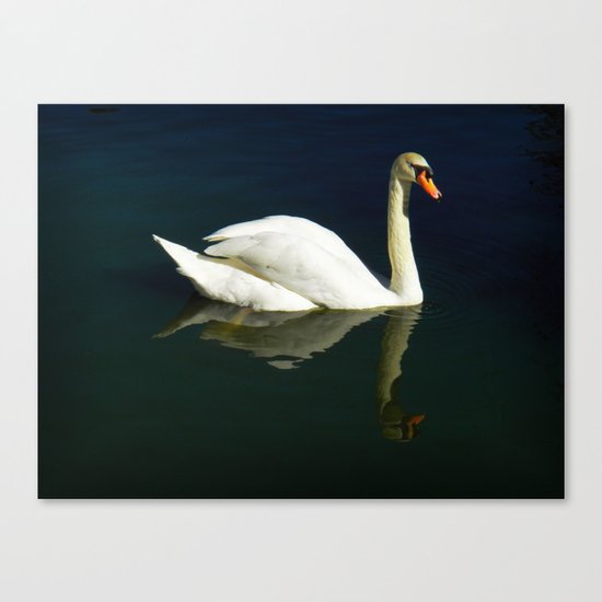 Beautiful Swan Canvas Print