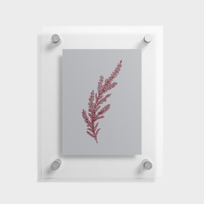 Lavender Flowers Nature Floral Gray Grey Red Floating Acrylic Print