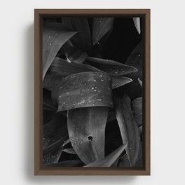 Tulip Festival 2022: Rozengaarden Framed Canvas