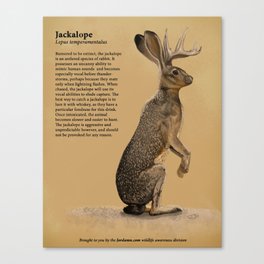 Jackalope Canvas Print