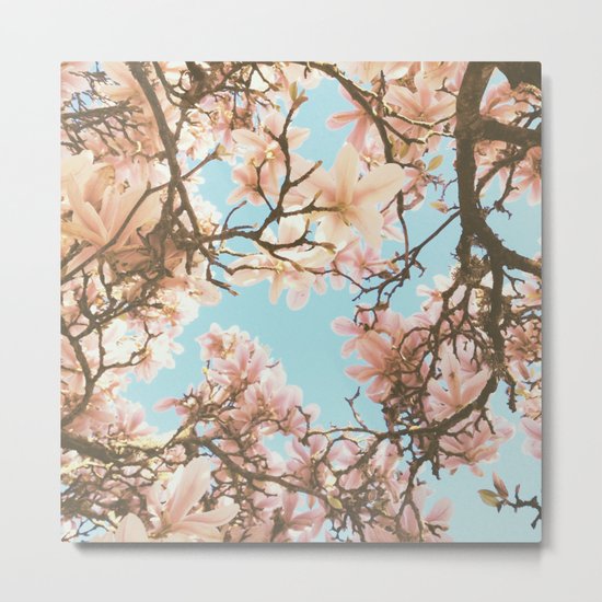 Pink Magnolia Metal Print