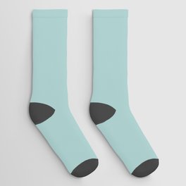 Light Aqua Gray Solid Color Pantone Eggshell Blue 14-4809 TCX Shades of Blue-green Hues Socks