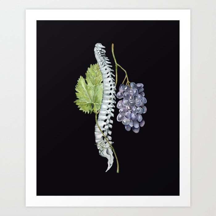 Spine with Grapes: Human Anatomy, Backbone Skeleton Art Print
