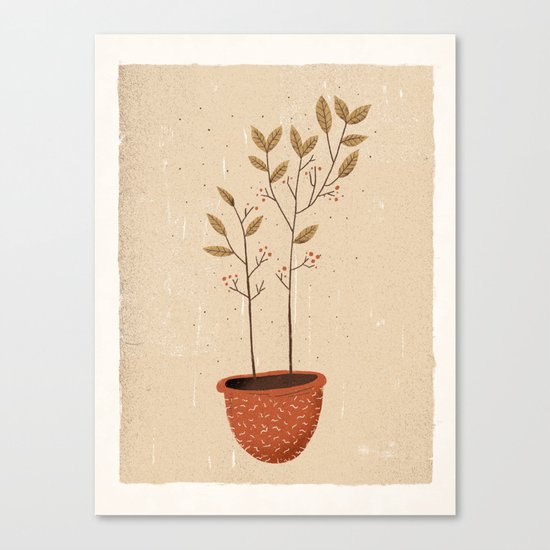 merak #1 Canvas Print