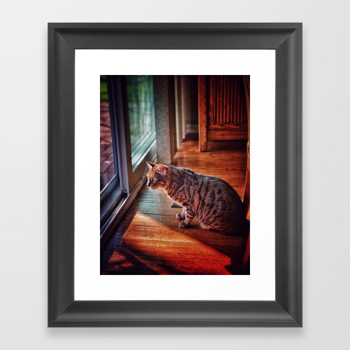 Cat in a House Framed Art Print