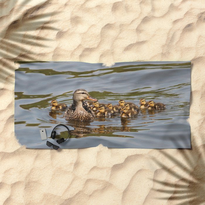 Mallard Duck And Ducklings Beach Towel By Sjkramer001 Society6 Mallard Duck And Ducklings Beach Towel