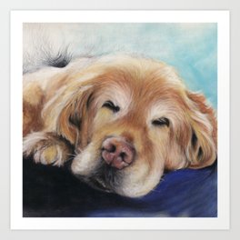 Sweet Sleeping Golden Retriever Puppy by annmariescreations Art Print