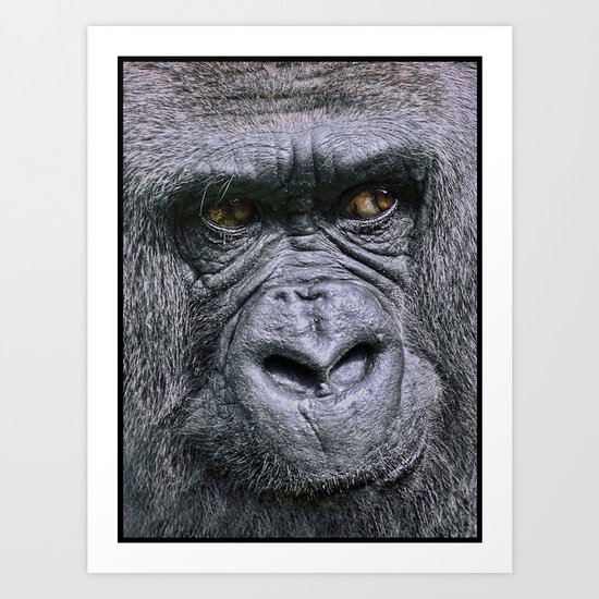 Portrait of a female Gorilla Art Print