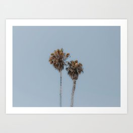 two palm trees xviii / san diego, california Art Print