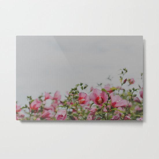Pink Flowers Metal Print