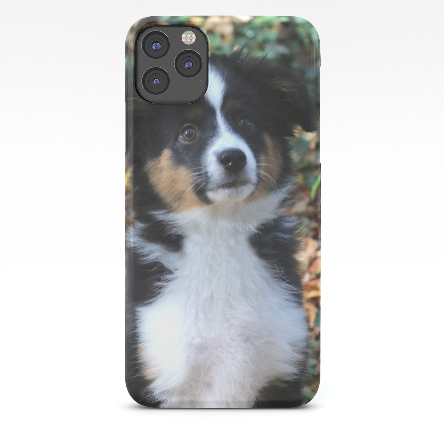 Australian Shepherd Puppy Iphone Case By Youlia91 Society6