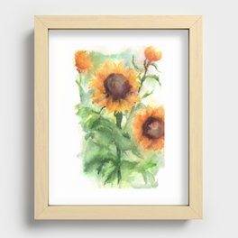 Sunflower Watercolor Study: Field Sketch Recessed Framed Print