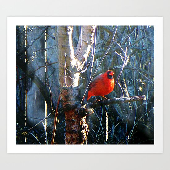 Cardinal Art Print