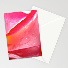 Raindrops On Roses Stationery Cards