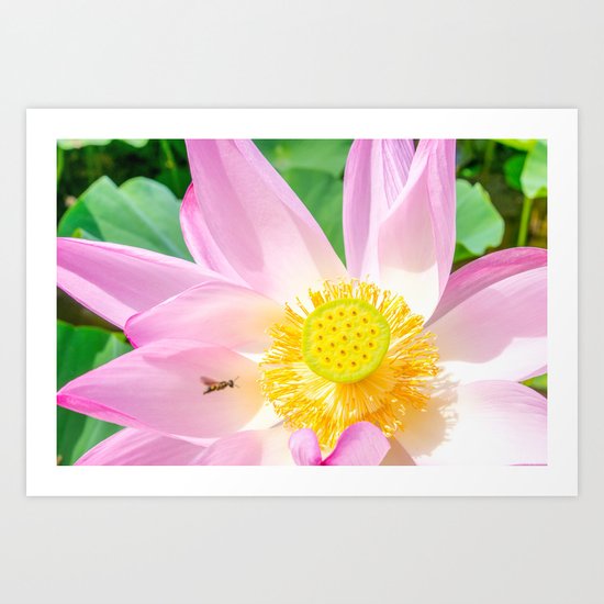 Tag You're It Art Print