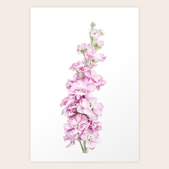 Pink Stock Art Print