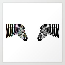 Zebra Reflection  Art Print