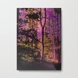 mystical forest Metal Print | Landscape, Nature, Digital, Photo 
