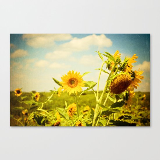 Yellow Canvas Print