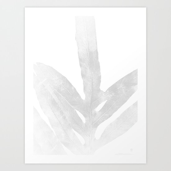 Ghost Fern Art Print