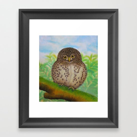 Collared Owlet Framed Art Print
