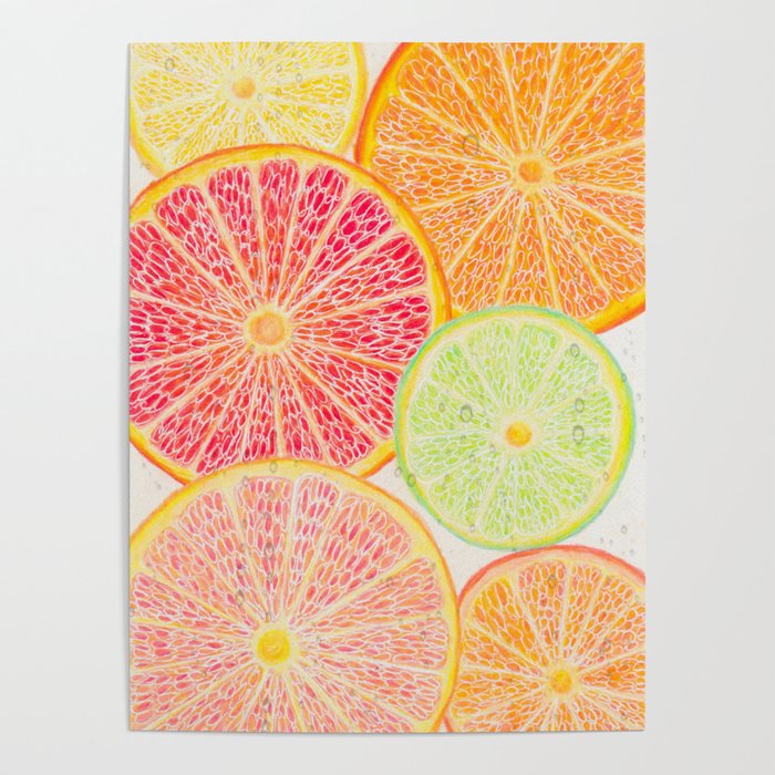 Citrus slices Poster