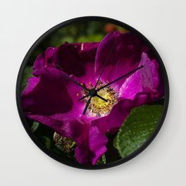 Rosa rugosa Wall Clock | Beachrose, Color, Green, Bloom, Garden, Pink, Photo, Leaves, Rosarugosa, Yellow 