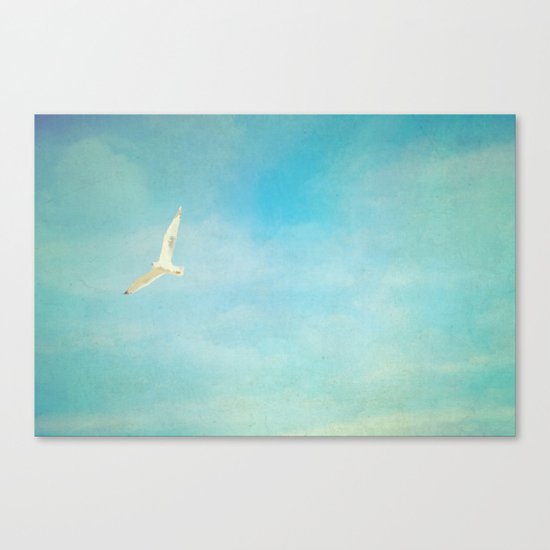 soar Canvas Print