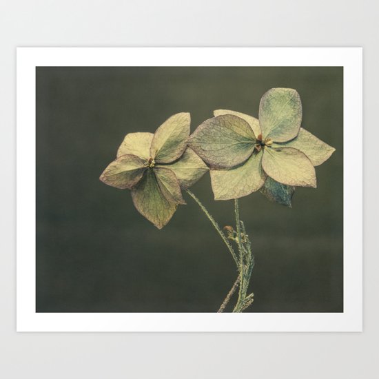 two Art Print