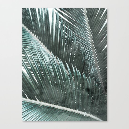 Simply Palms Canvas Print