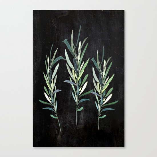 Eucalyptus Branches On Chalkboard Canvas Print