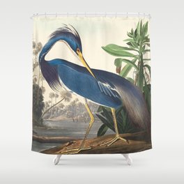 Louisiana Heron, Robert Havell after John James Audubon Shower Curtain