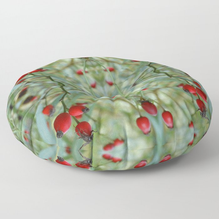 Rose hip Abstract Photography Floor Pillow